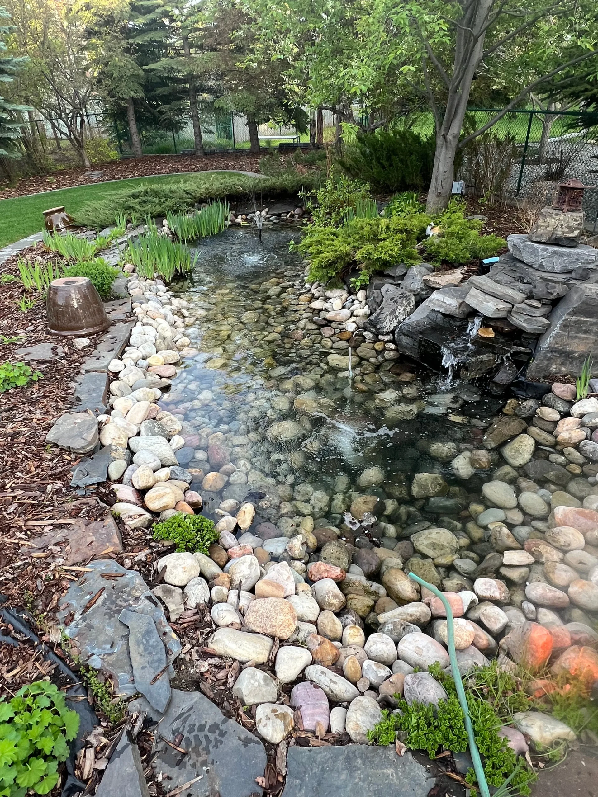 Waterfall pond maintenance service improving water flow and clarity