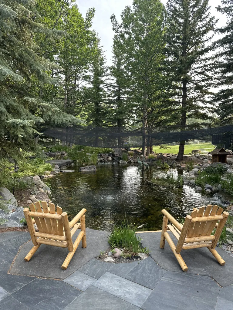 Luxury custom koi pond installation in Calgary backyard