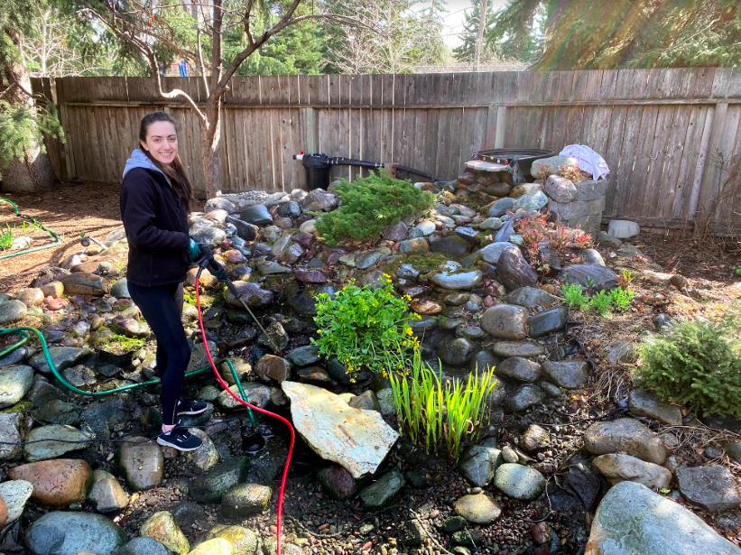 Pond technician servicing waterfall and pond filtration system