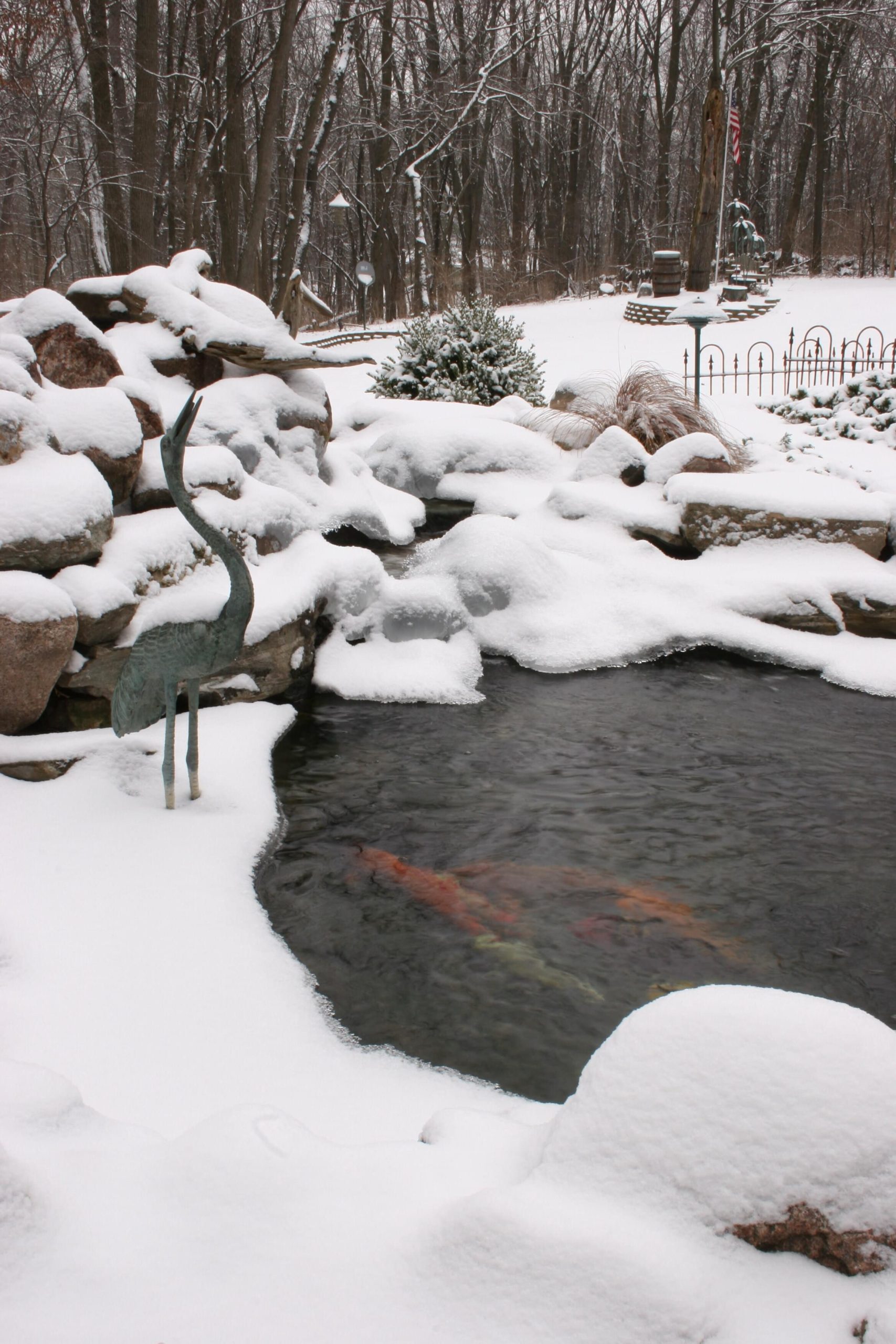 Winter pond shutdown service in Calgary backyard koi pond